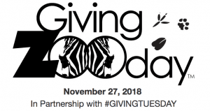 Top 9 things you need to know about Giving Tuesday