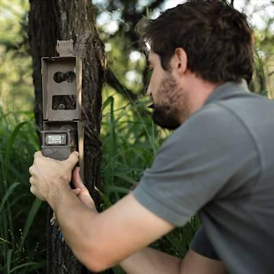Camera Trap Surveys