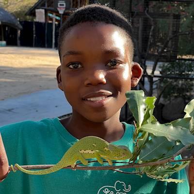 An Unexpected Visitor during the day