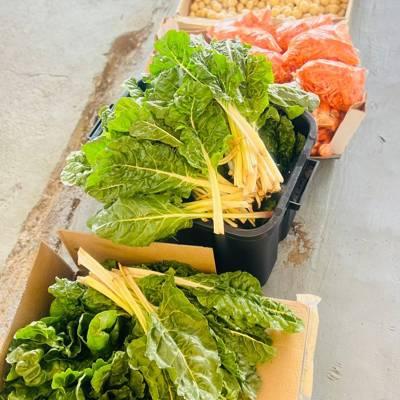 Golden Hi Hills forgood Golden Hi Hills forgood