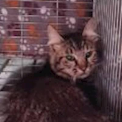 878e577c-50cf-4261-a28f-0ca06ee4eb08