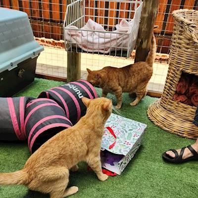 afc4361c-4201-470b-92db-ee1b5b70db99