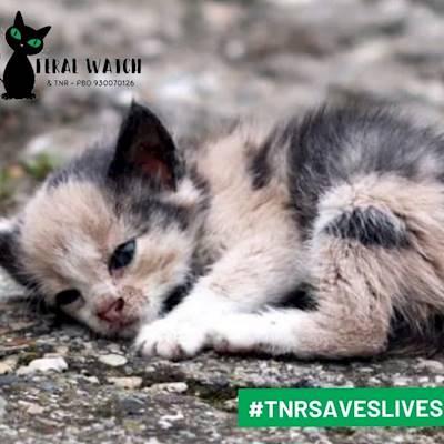 We will never stop the fight for these innocent animals.