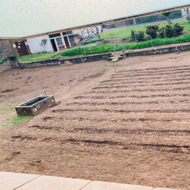 Help TYHSA Tunnel and Solar food Garden UMlalazi Eshowe KwaZ by Donation Tunnel and Solar and seedlings for Female headed families UMlalazi