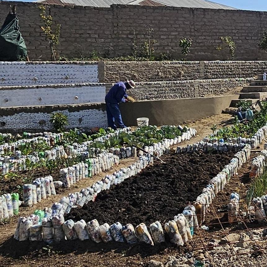 Eco- gardens at ECD