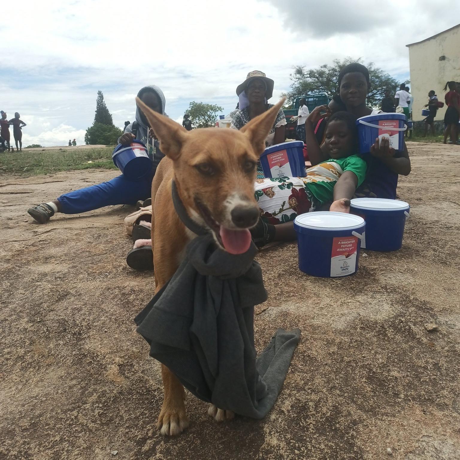 c4dfdc7a-c56e-46aa-8f99-e1f47d72cc92