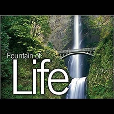 Fountain Of Life
