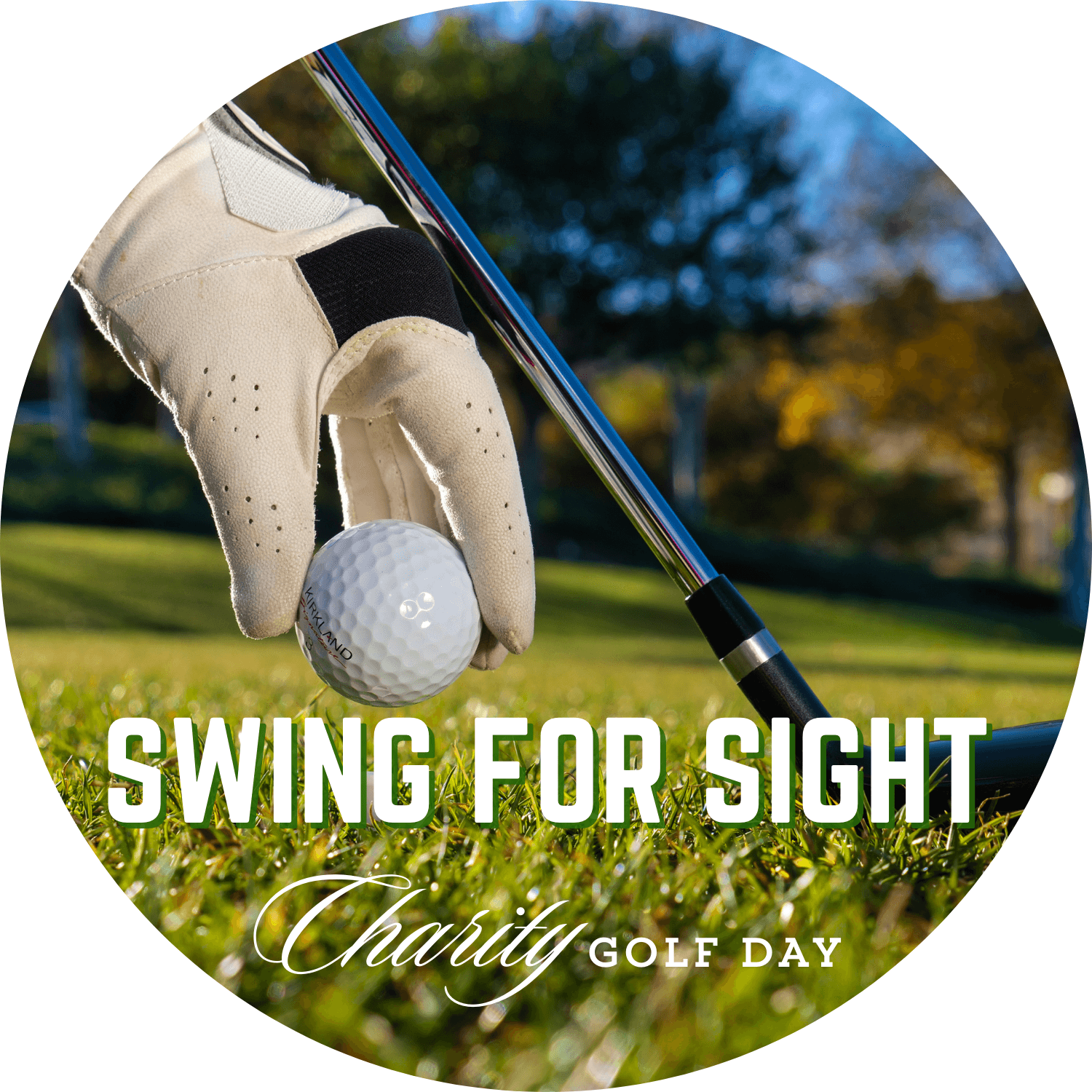 Swing for Sight