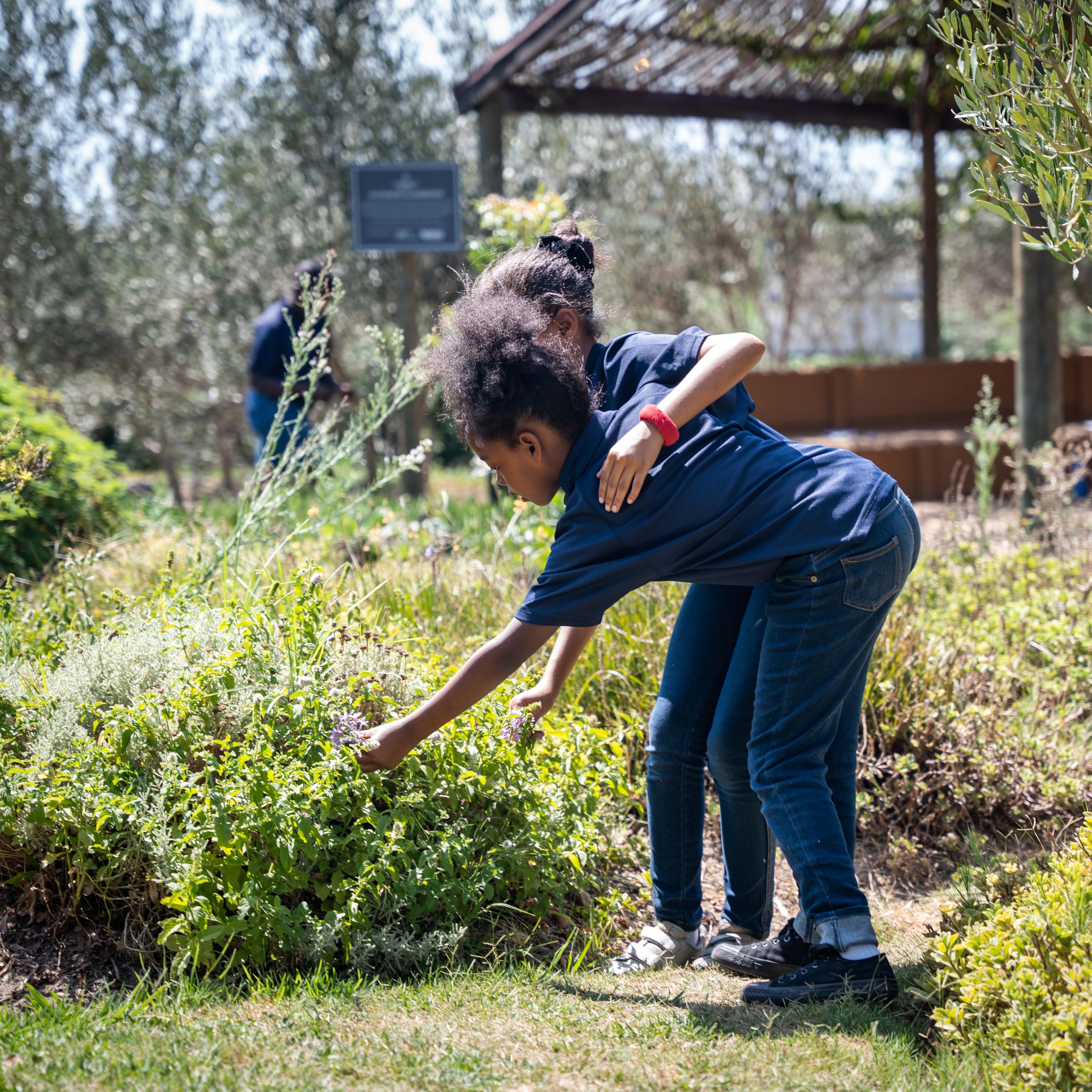 Learning at the SI incorporates head, heart and hands learning for all ages. Nature forms an integral part of how we learn to bring about more just and generative futures for people and planet.