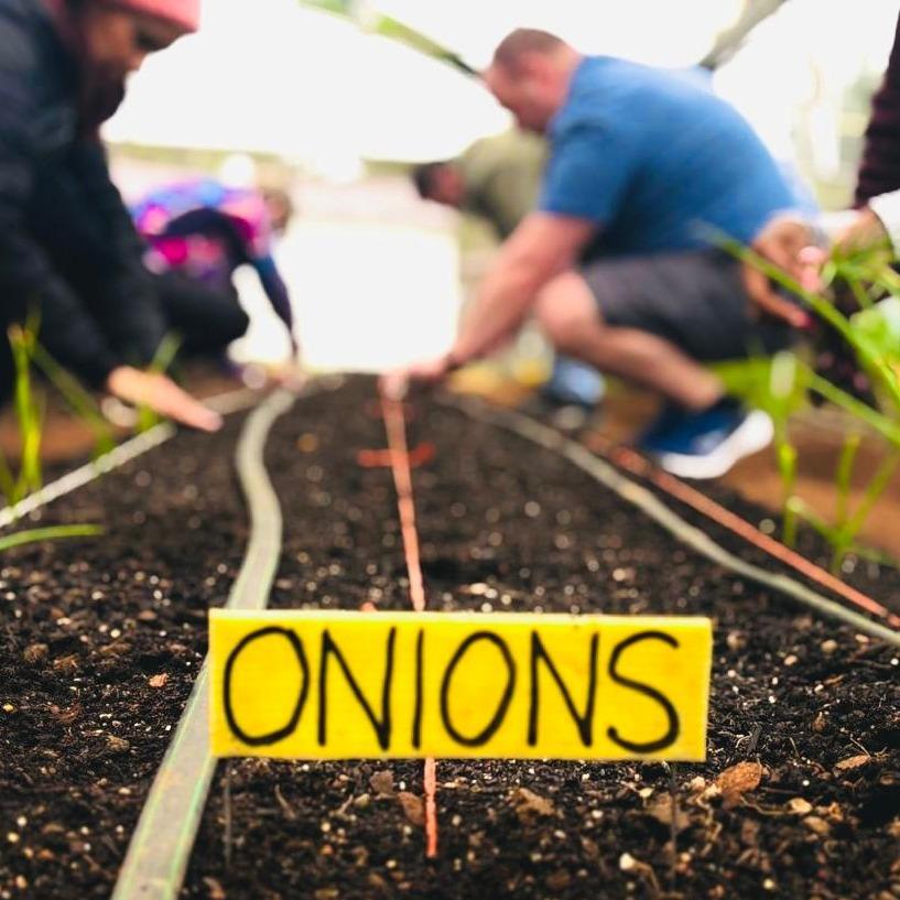 Plant Production