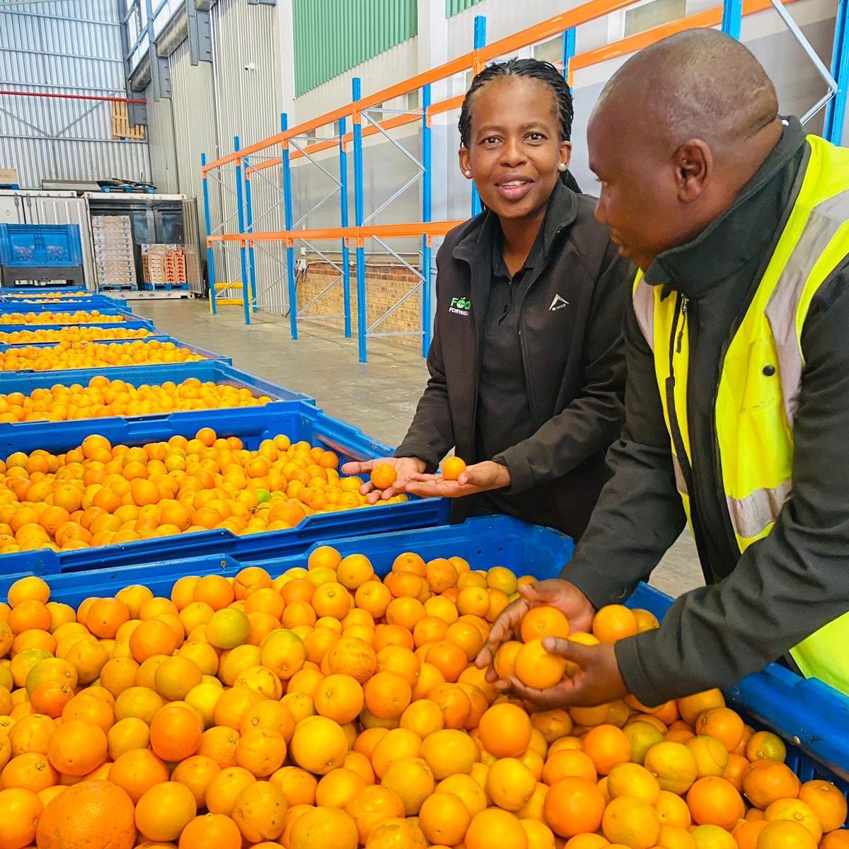 FoodForward SA receiving a delivery of surplus oranges at their Western Cape warehouse.