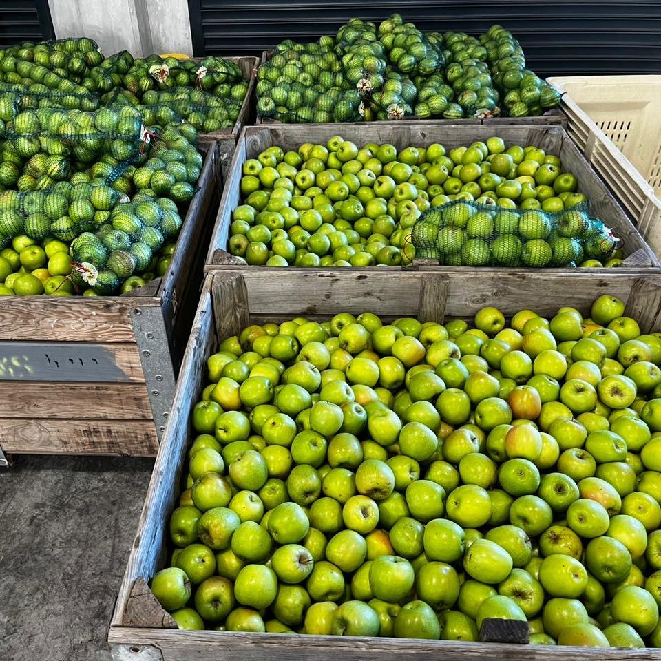A donation of 96 tonnes, approximately 200 bulk bins, or surplus Panorama Golden Delicious apples grown by one of our commercial farmers in the Piket-Bo-Berg and delivered to FoodForward SA in the Western Cape.