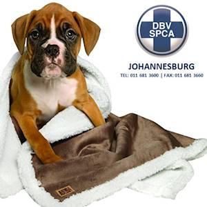 Johannesburg SPCA