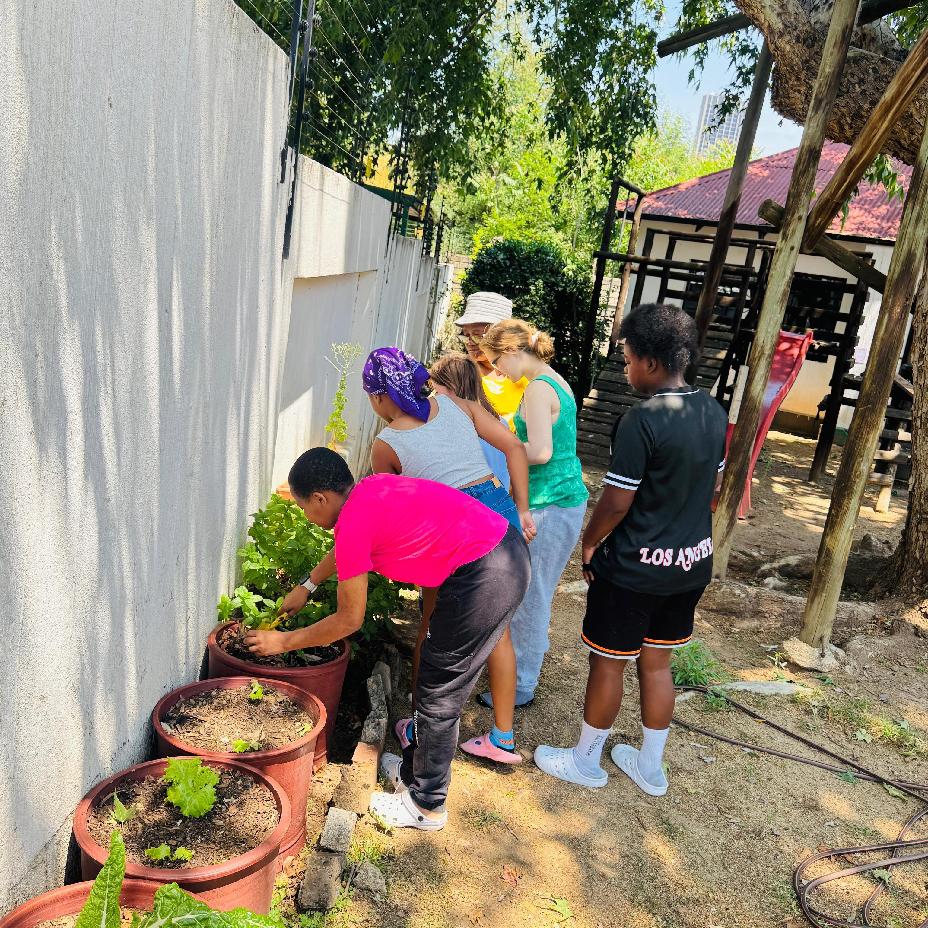 6b95ee58-1a7f-4ba4-98c8-a4bd8a11684a