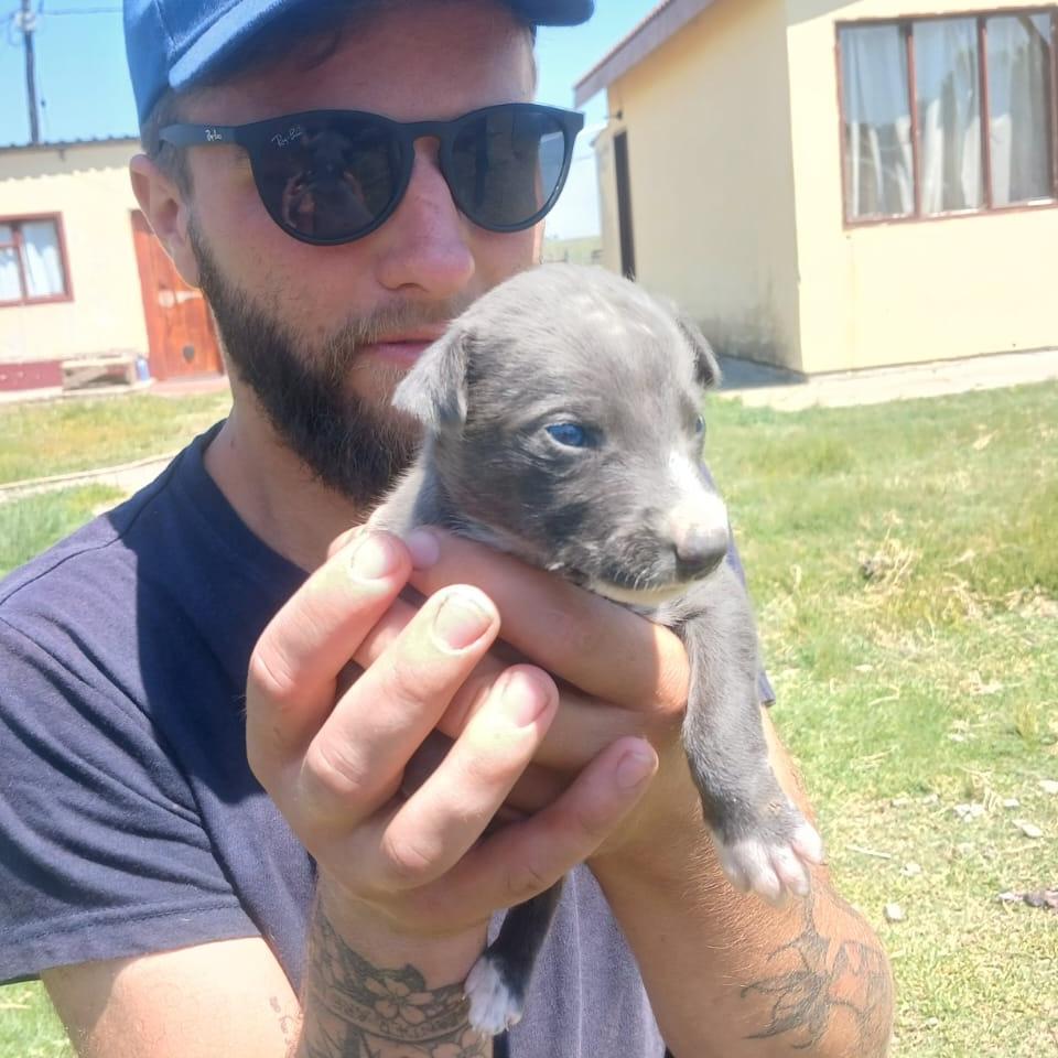 Andey, Team member and our Dog Whisperer