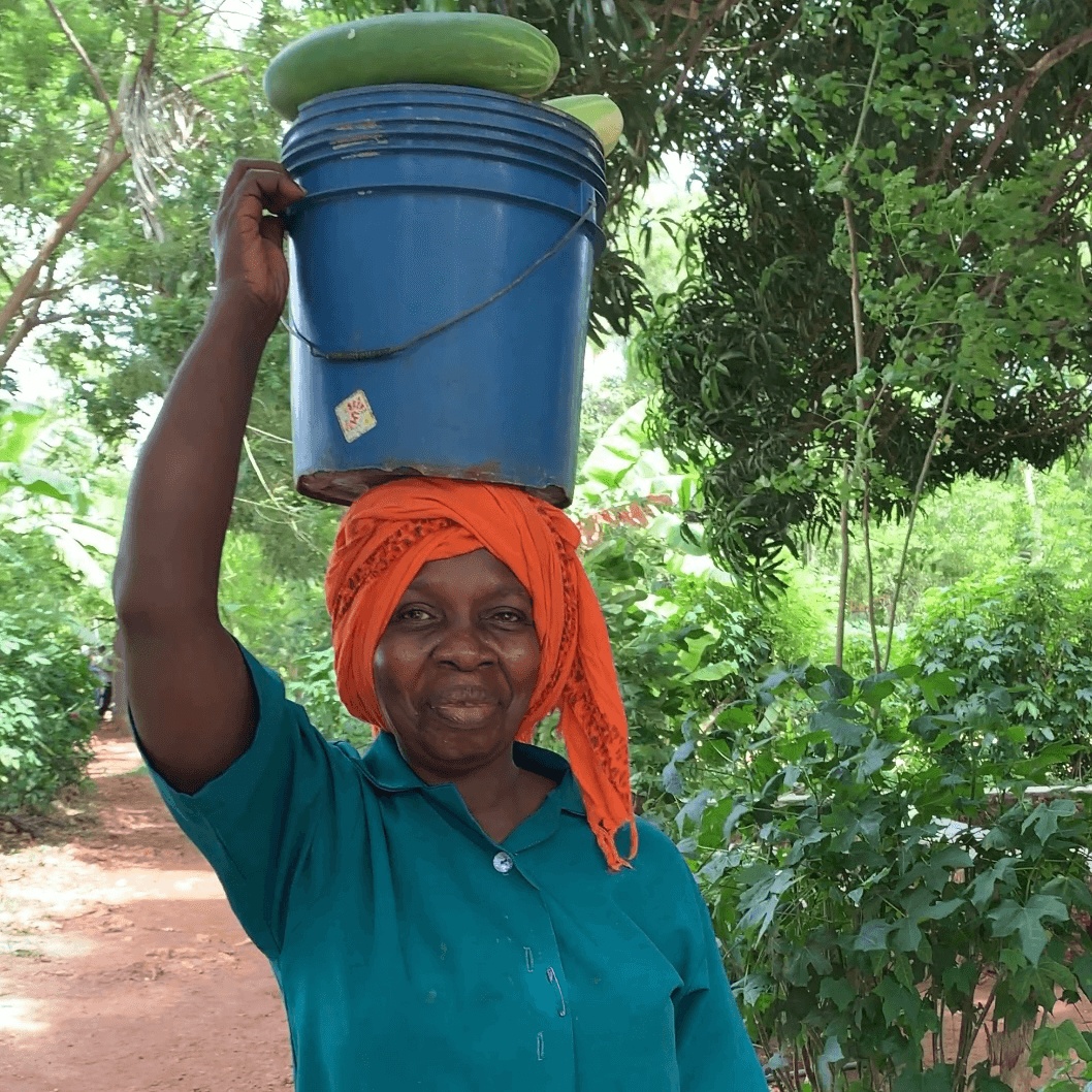Assalam Permaculture Farm integrates fruit and vegetable cultivation with animal care, following the ethics of Earth Care, People Care, and Fair Share. Despite poor soil, fertility is restored using compost and local seeds. It’s a hands-on learning site for students, tourists, and volunteers, featuring beekeeping, aromatic plants, and sustainable building. The farm showcases permaculture principles, producing diverse yields while educating and empowering the community in sustainable living.