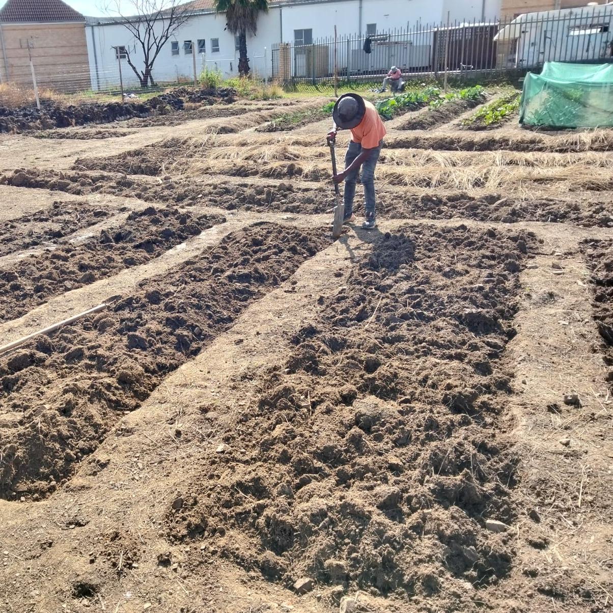 Farming = Food Security. We're building an Agriculture School in Mamelodi where people will learn how to grow their own food in small spaces, backyards, and community gardens. By working together as a collective, communities can produce food, create income, and reduce hunger. Not handouts! Not temporary relief! Sustainable solutions!