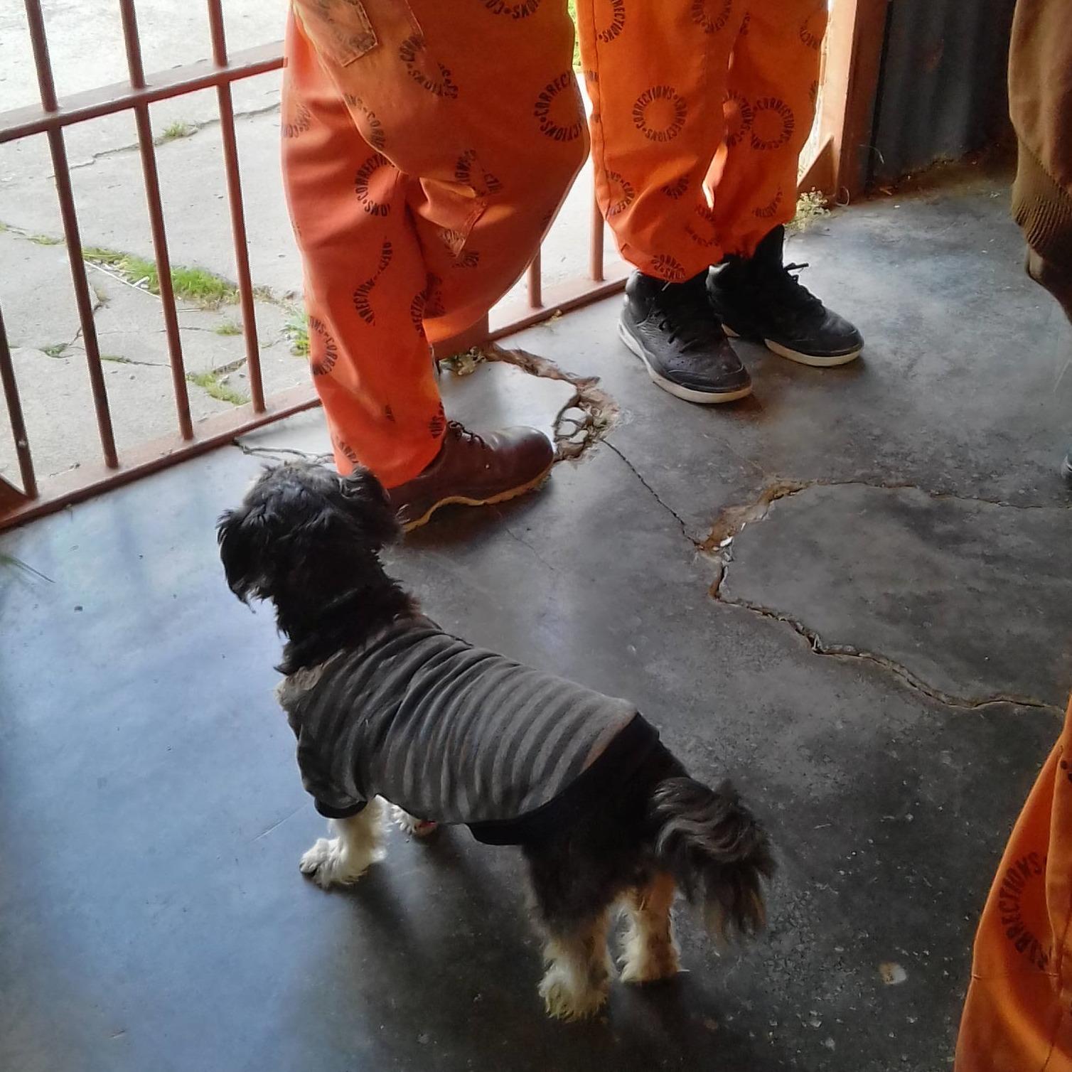 Overberg Offender Skills Programme Mascot "SILKY"