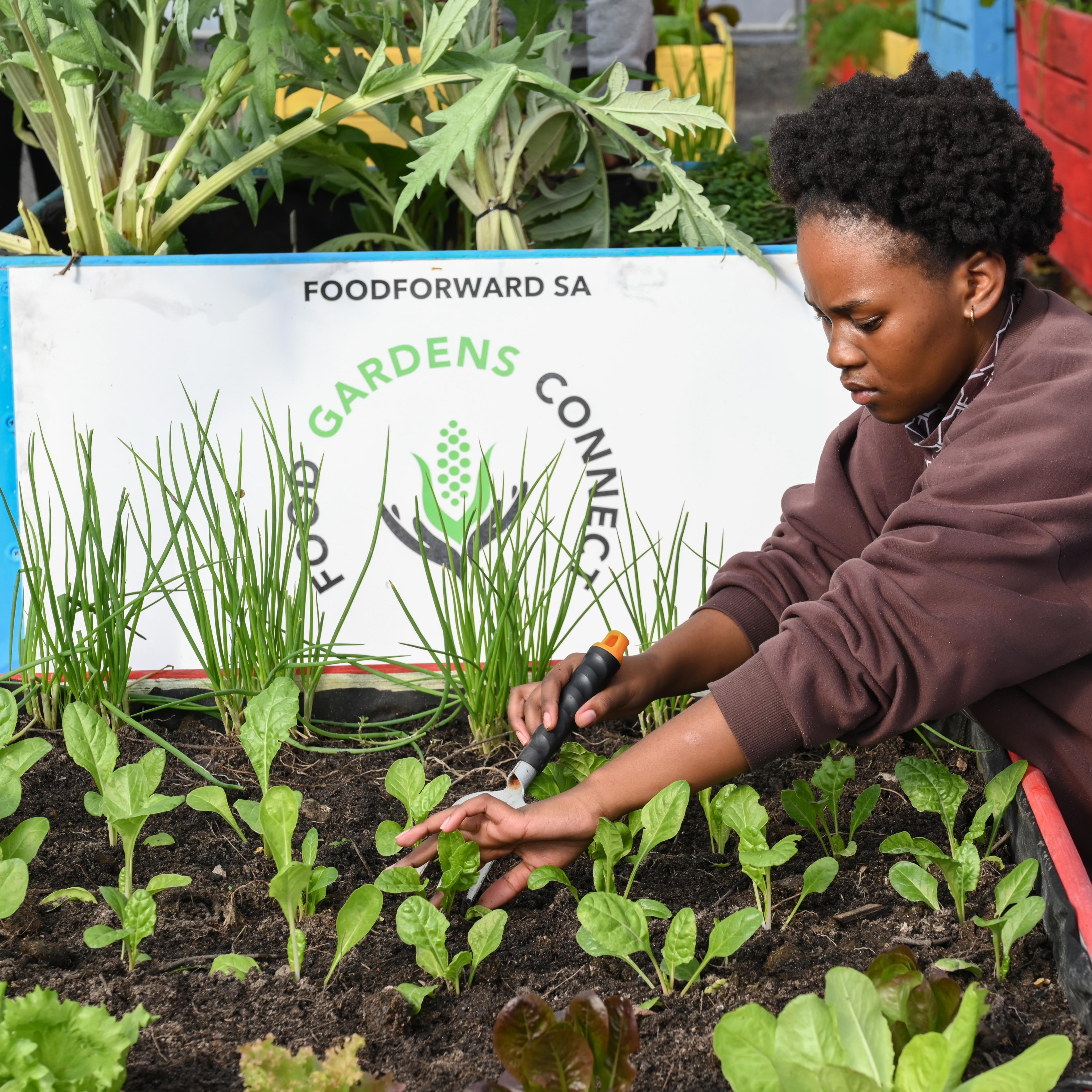 Youth Working in the garden