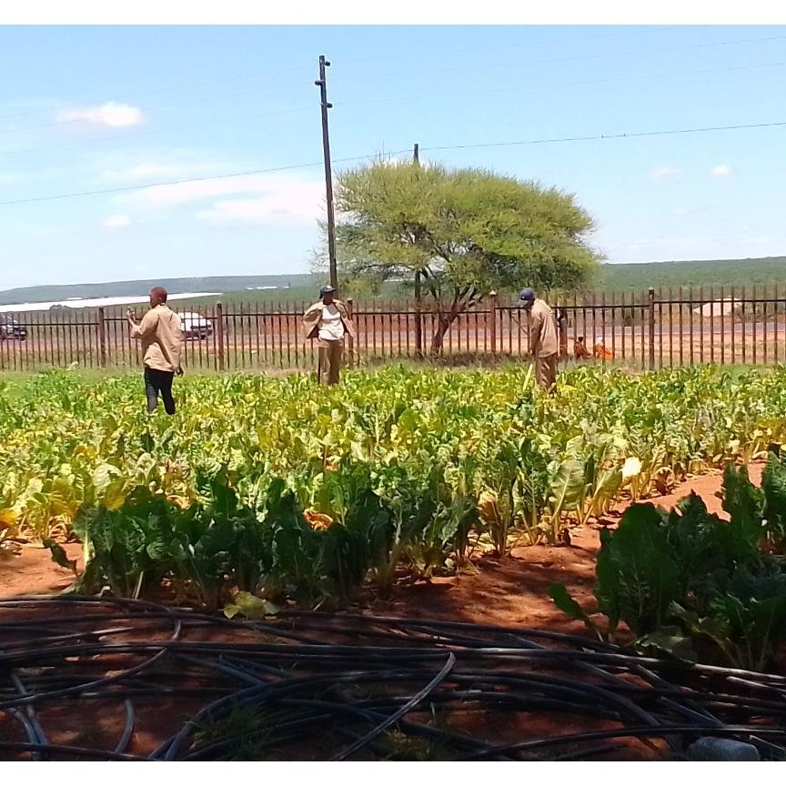 9d57c83e-5b1b-4c21-a4f8-4586fdeeff89