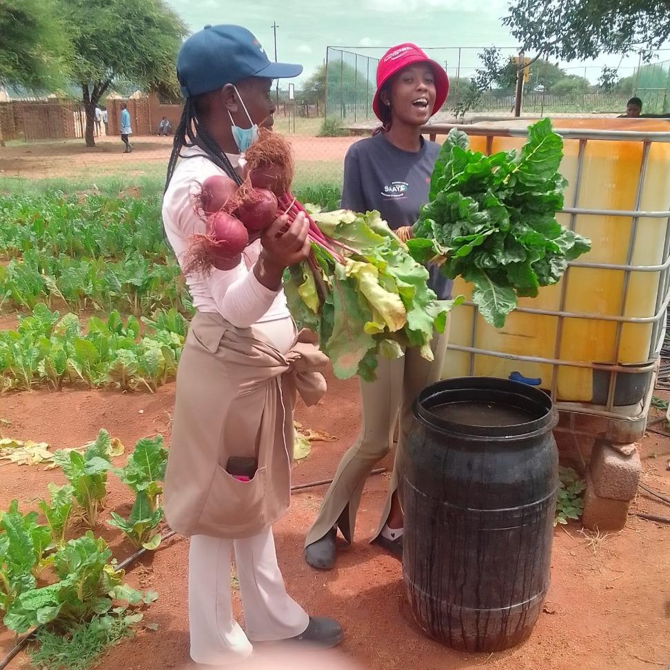 0248eb7e-41ff-4870-966c-3e3c2c72e0d4