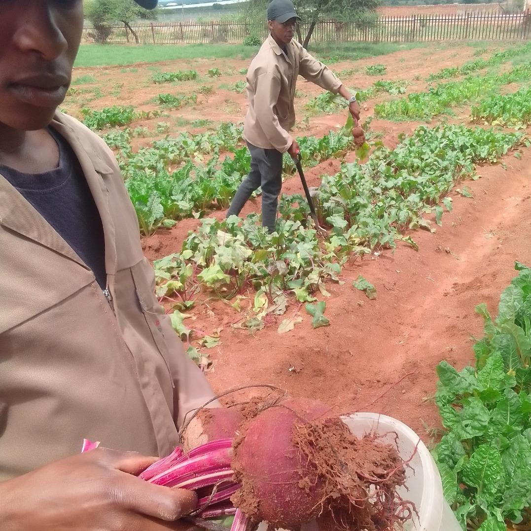 dc13777f-4e5d-4d02-b5d4-efd5d817691c