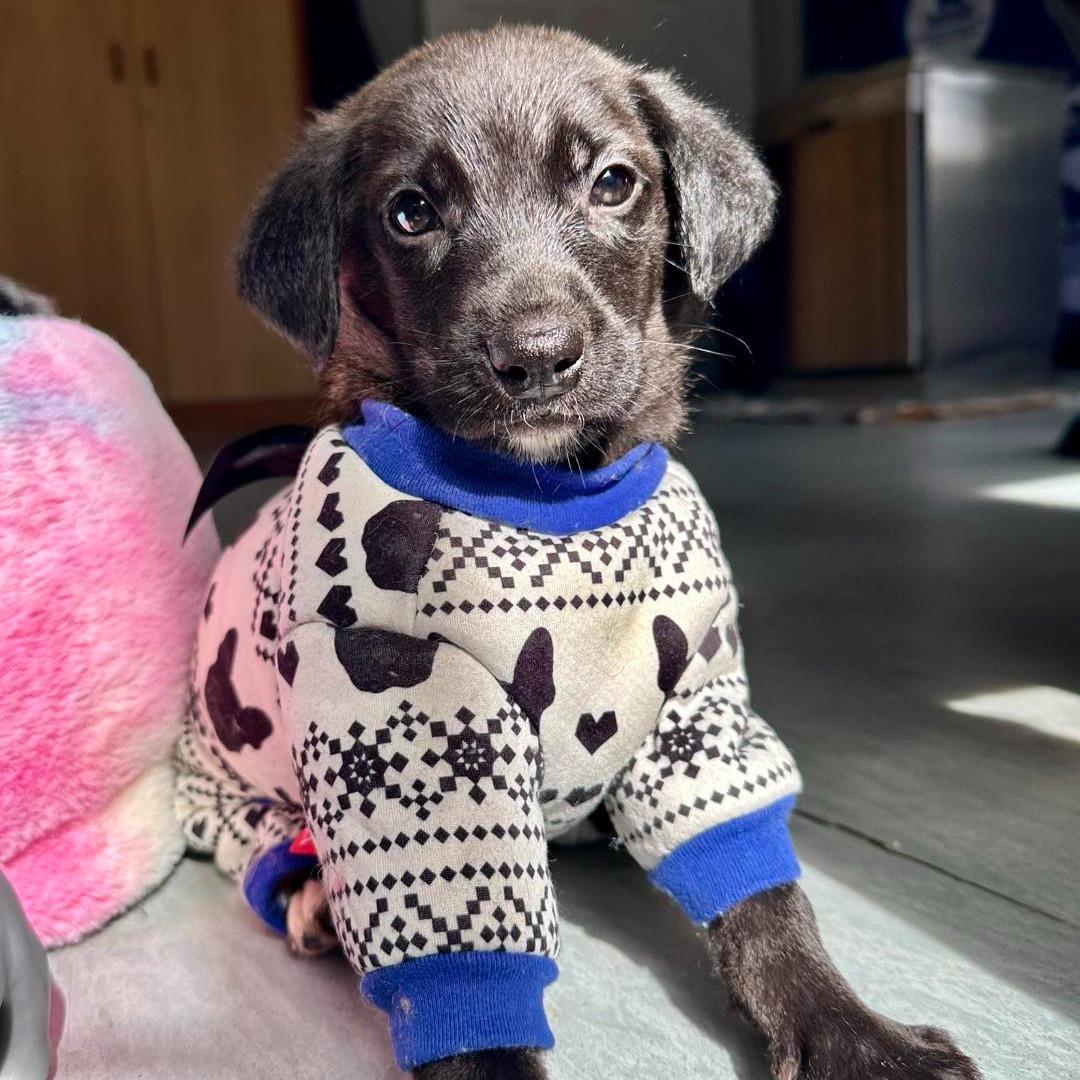 It's chilly outside.
