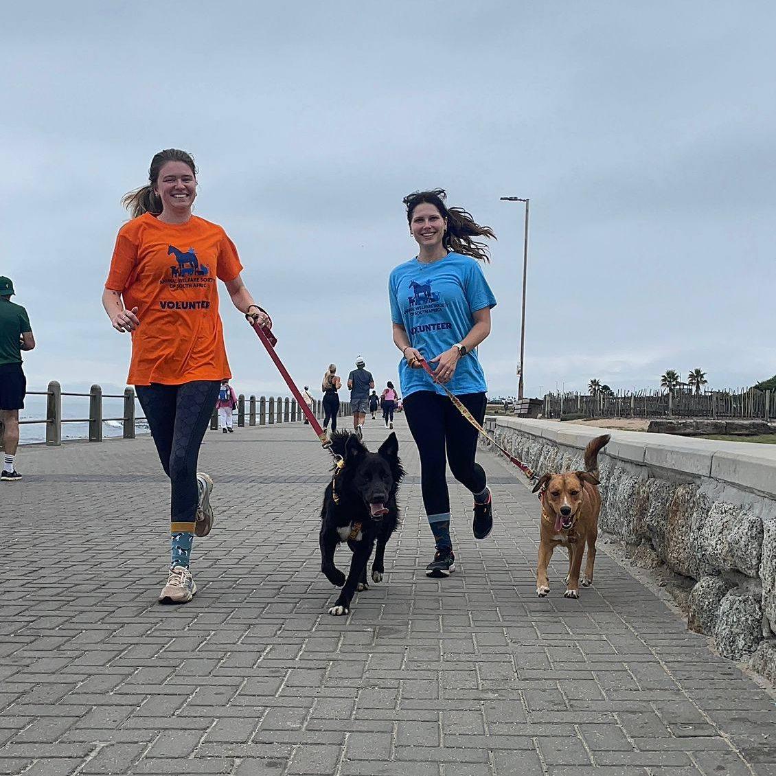 Volunteers on the Promenade