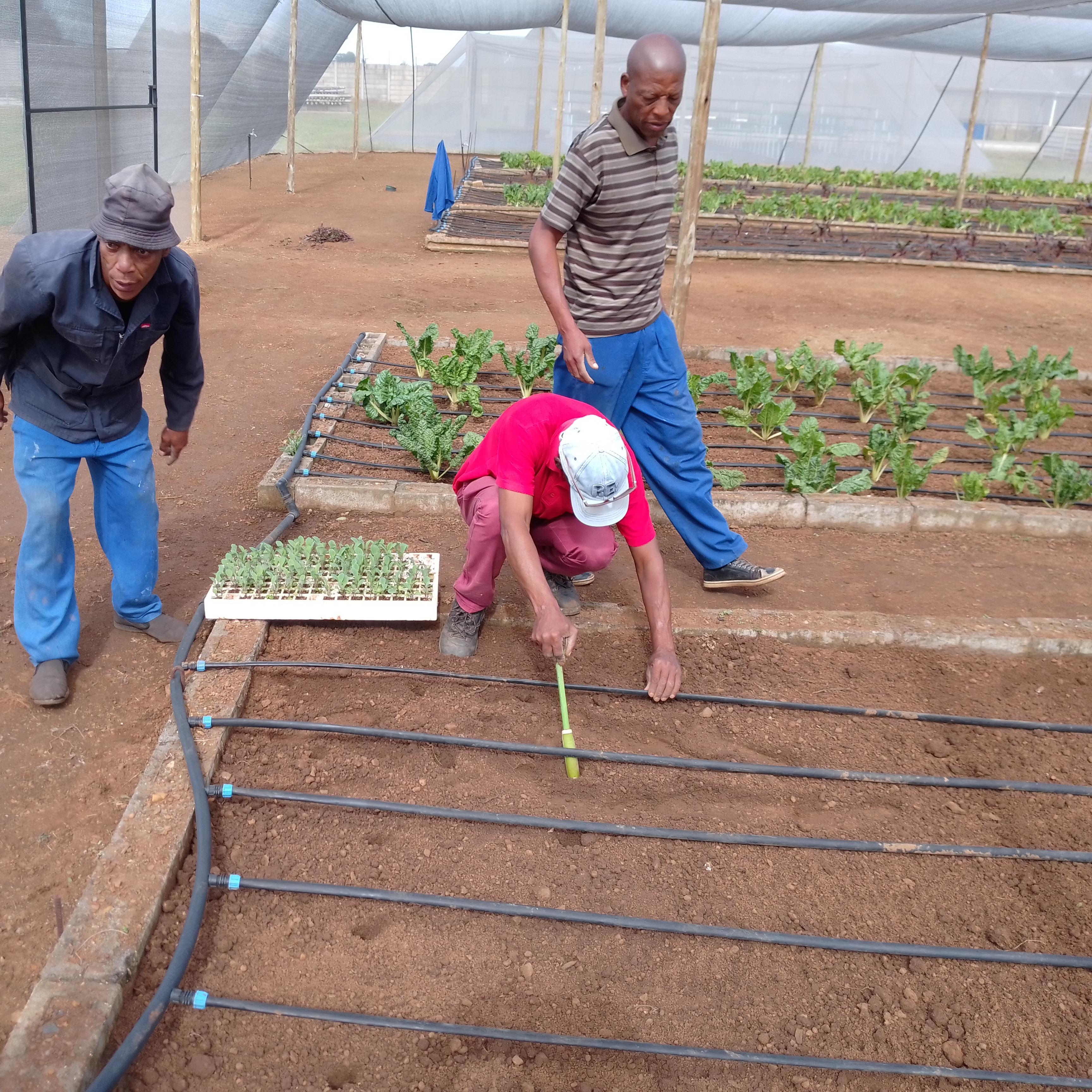 Agricultural Training College