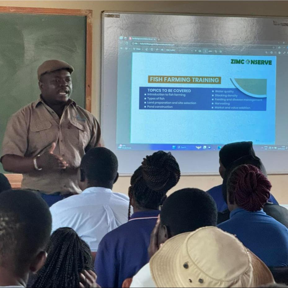 Empowering communities through fish farming training—building sustainable income streams in Seke Rural