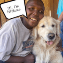 Shining the Spotlight on Safe Driving