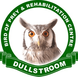 Dullstroom Bird of Prey and Rehabilitation Centre