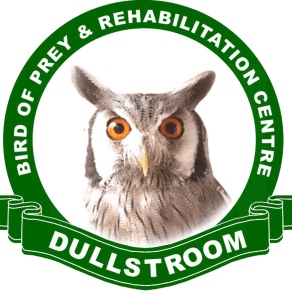 Dullstroom Bird of Prey and Rehabilitation Centre