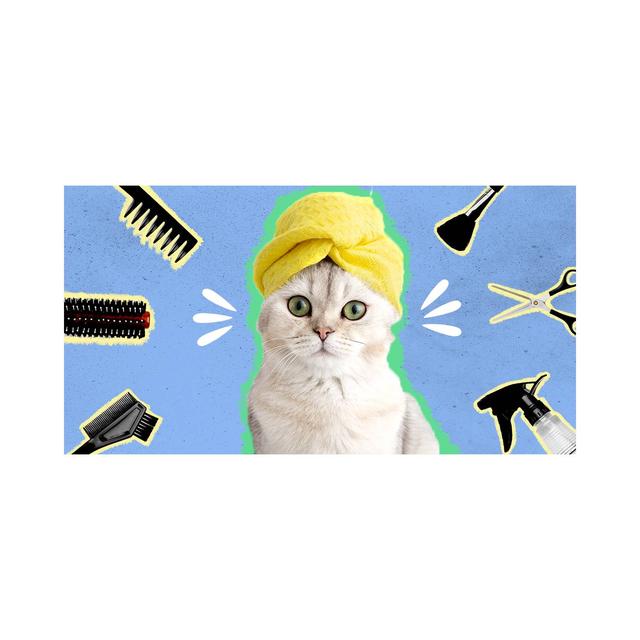 Help Harties Feral Cat Rescue NPC by cat grooming equipment for grooming the cats in our care.
