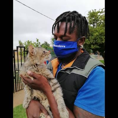 Help The Winnie Mabaso Foundation by donating cat food for our furry friends!