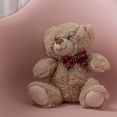 Help iThemba Projects by Soft toys for toy bags