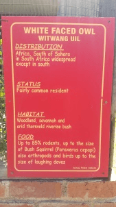 Help Dullstroom Bird of Prey and Rehabilitation Centre by Offering signage - Billboards along access roads for Attracting passing traffic to visit the Centre