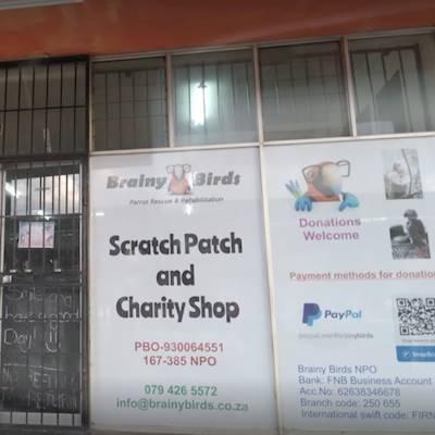 Help Brainy Birds Parrot Rescue & Rehabilitation by donating any unwanted preloved items for their Charity Shop located at 29 Central Ave, Eastleigh