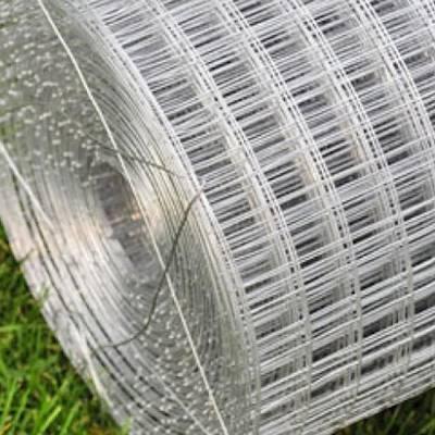 Help Youth with a mission East London by donating materials for fencing.