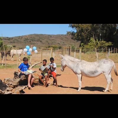 Help Eseltjiesrus Donkey Sanctuary by donating new and fresh second books for our book sales