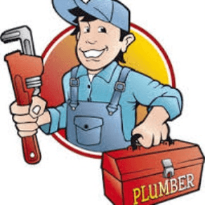 Help Dullstroom Bird of Prey and Rehabilitation Centre with 3 volunteers for plumbing