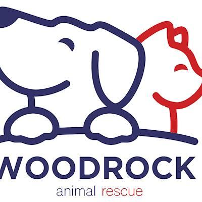 Help Woodrock Animal Rescue raise R50,000 for sustainability