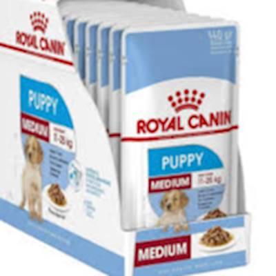 Help Woodrock Animal Rescue by soft food for puppies