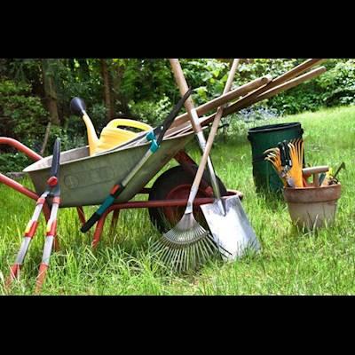 Help Fountain Of Life by donating gardening tools for our local farmers.