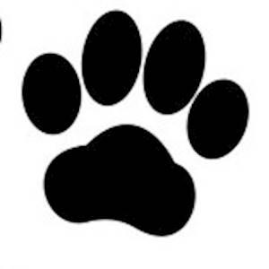 Help Highveld Ridge SPCA with 10 volunteers for Painting our kennnels