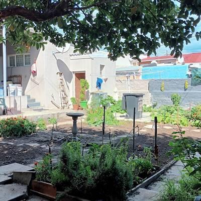 Help NOAH by donating seedlings, compost and fertiliser for our community garden in Woodstock
