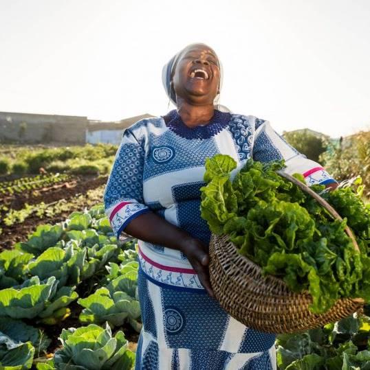 Help RivLife Community Centre raise R10,000 for Upskilling female community farmers