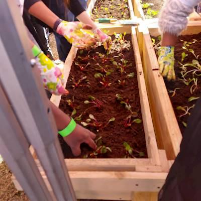 Help Meals on Wheels Community Services South Africa by gardening equipment and supplies for women centered initiatives this Women's Month