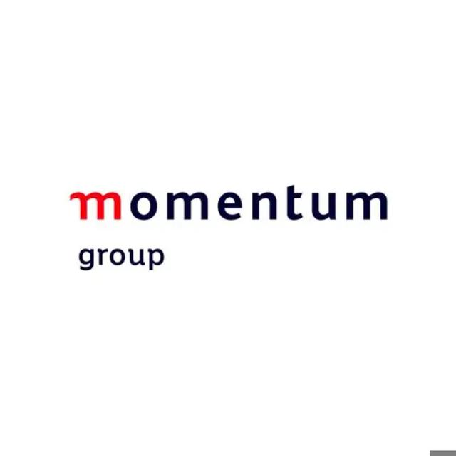 Help National Mentorship Movement with 12 volunteers for Momentum Group employees - help us solve our challenge