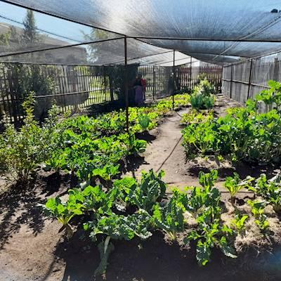 Help ACFS Community Education by donating Garden Equipment for our Food Security & Livelihood Pillar